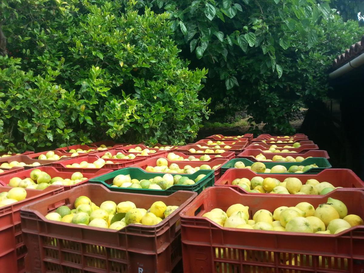 Il Limoneto Acireale Vila Exterior foto
